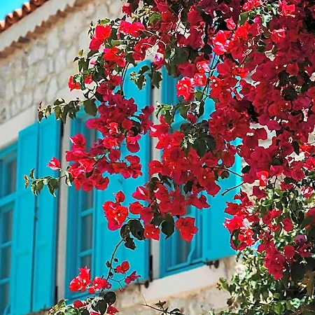 Casa Alegre Alacati Hotel Cesme